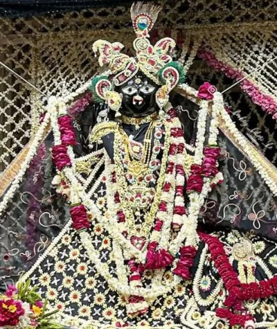 Banke Bihari Ji Darshan inside Vrindavan Temple
